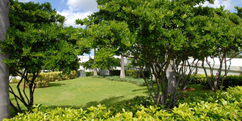 Landscape Architecture
