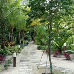 Sustainable Landscape Architecture
