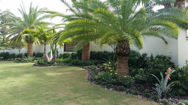 Garden Designs