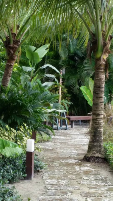 Garden Designs