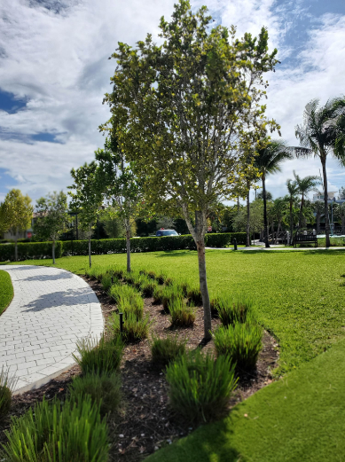Garden Designs