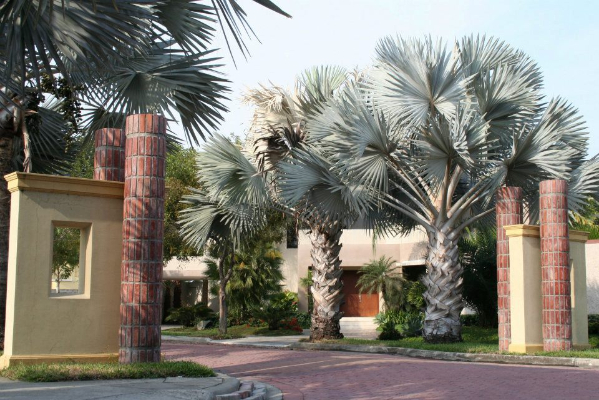 Entrances