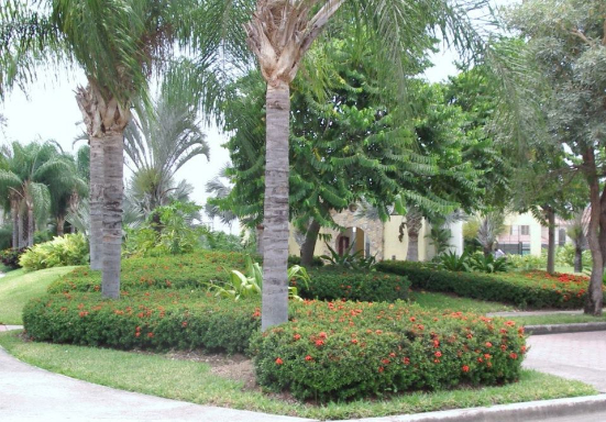 Garden Designs