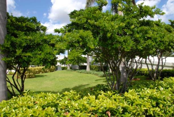 Garden Designs