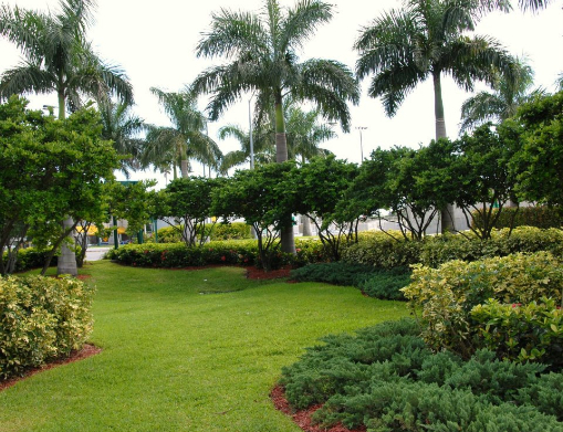 Garden Designs