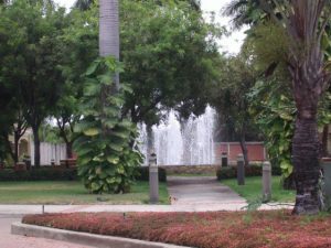 Water Features