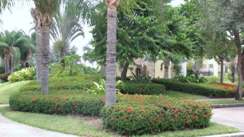 world-class landscape architecture firm